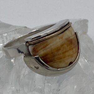 zilveren ring met Afrikaanse schelp (Gambia)