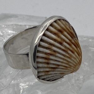 damesring van zilver 925 met Gambiaanse schelp
