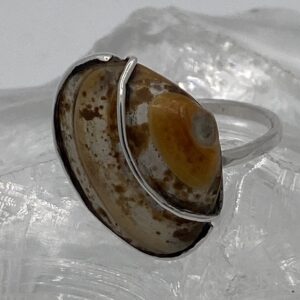 zilveren damesring met Afrikaanse schelp