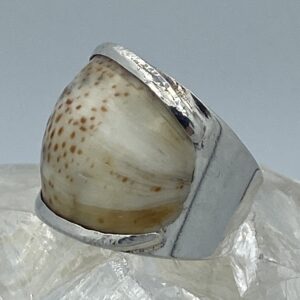 Zilver 925 met schelp